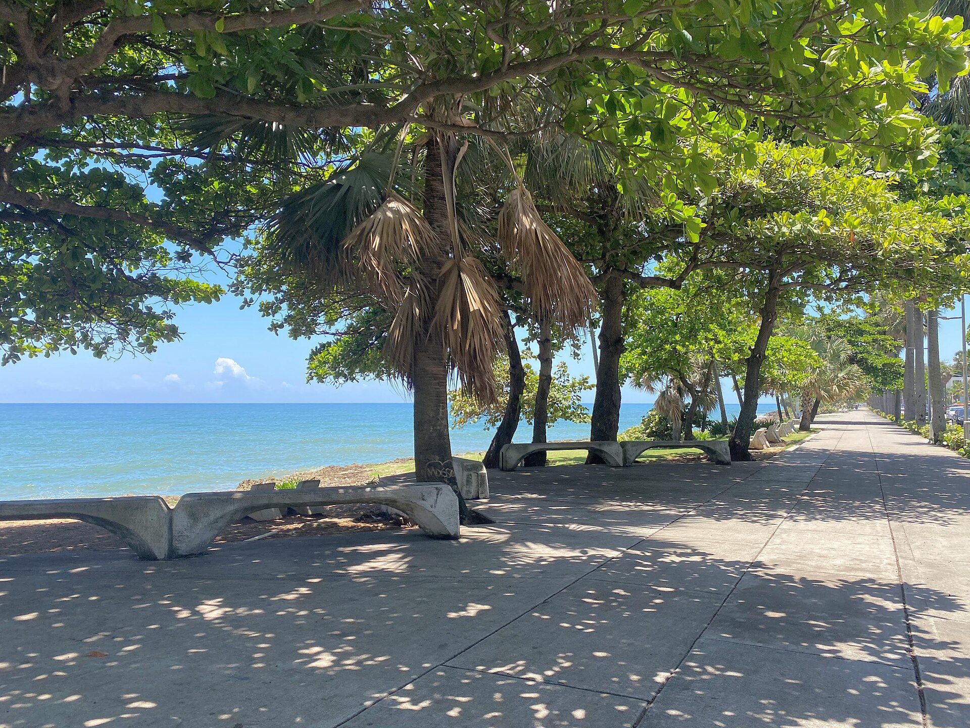 Malecón 树影步道